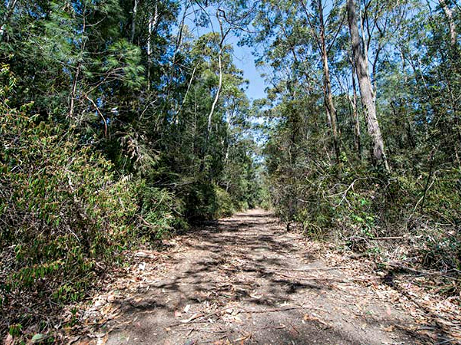 Turners Walking Track