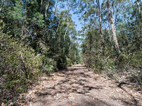 Turners Walking Track