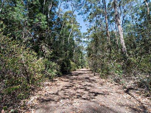 Turners Walking Track