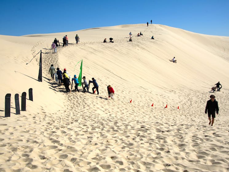 Sandboarding Stockton Beach