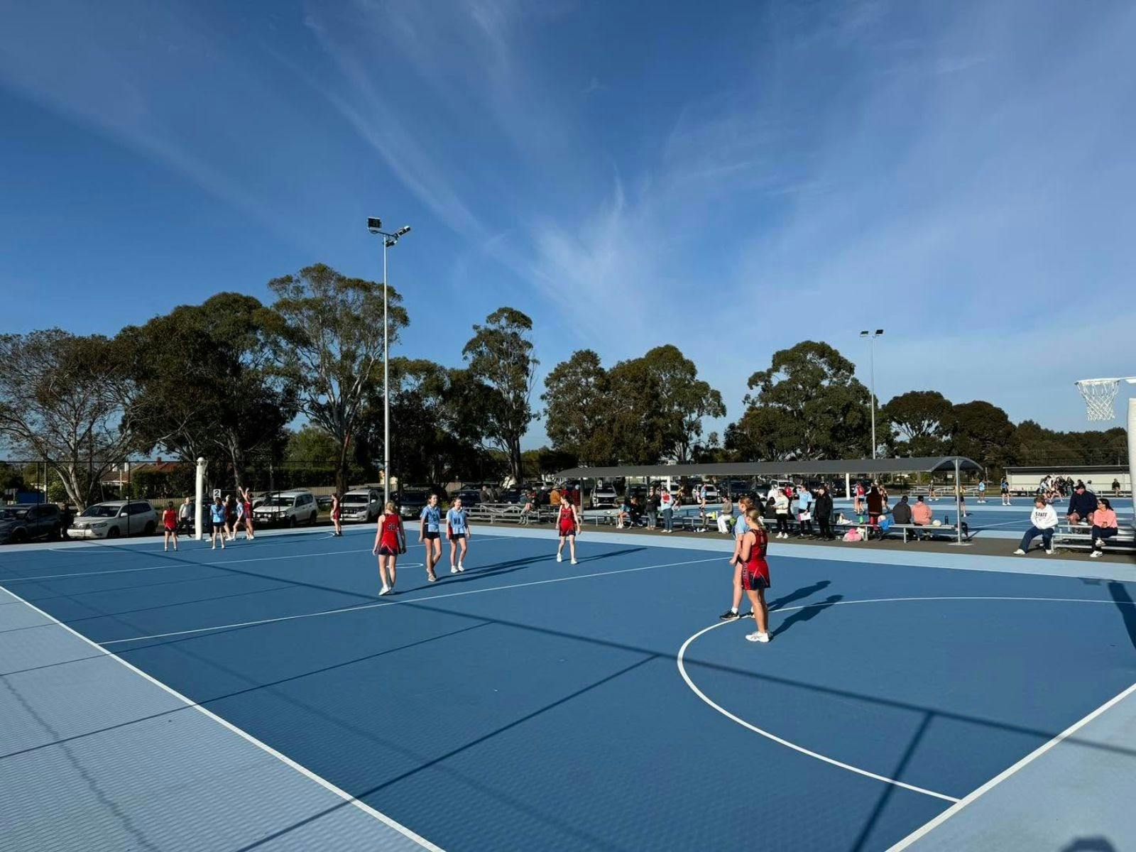Hamilton Netball Association