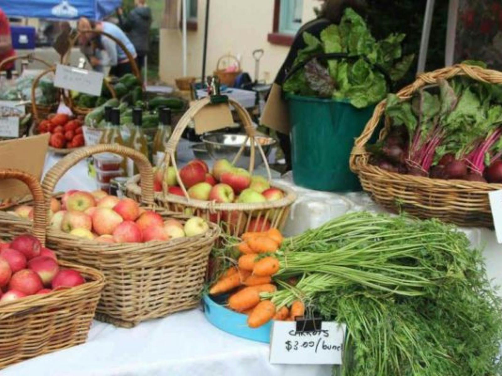 SHC market5
