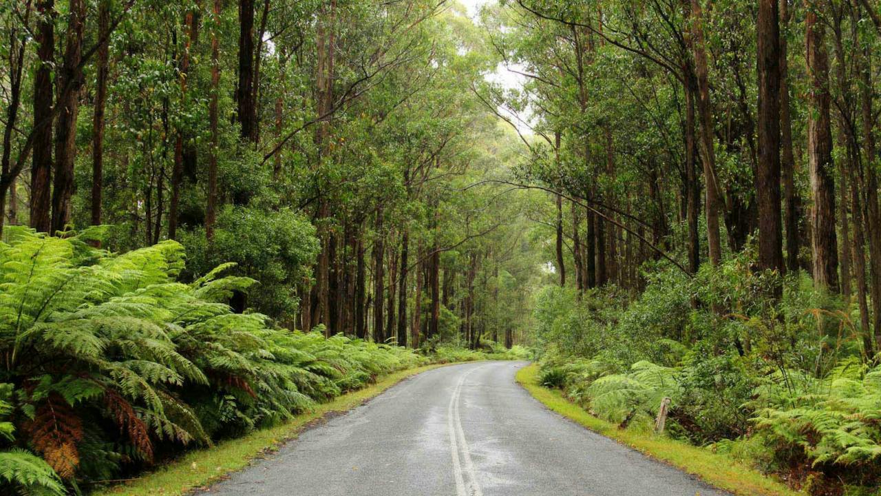 South East Forests National Park