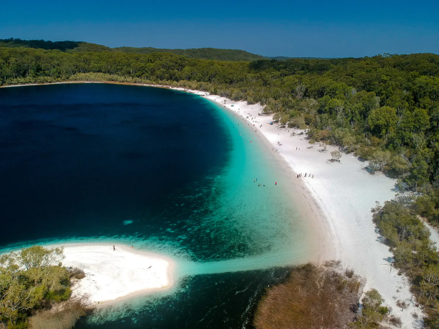 Boorangoora (Lake McKenzie)