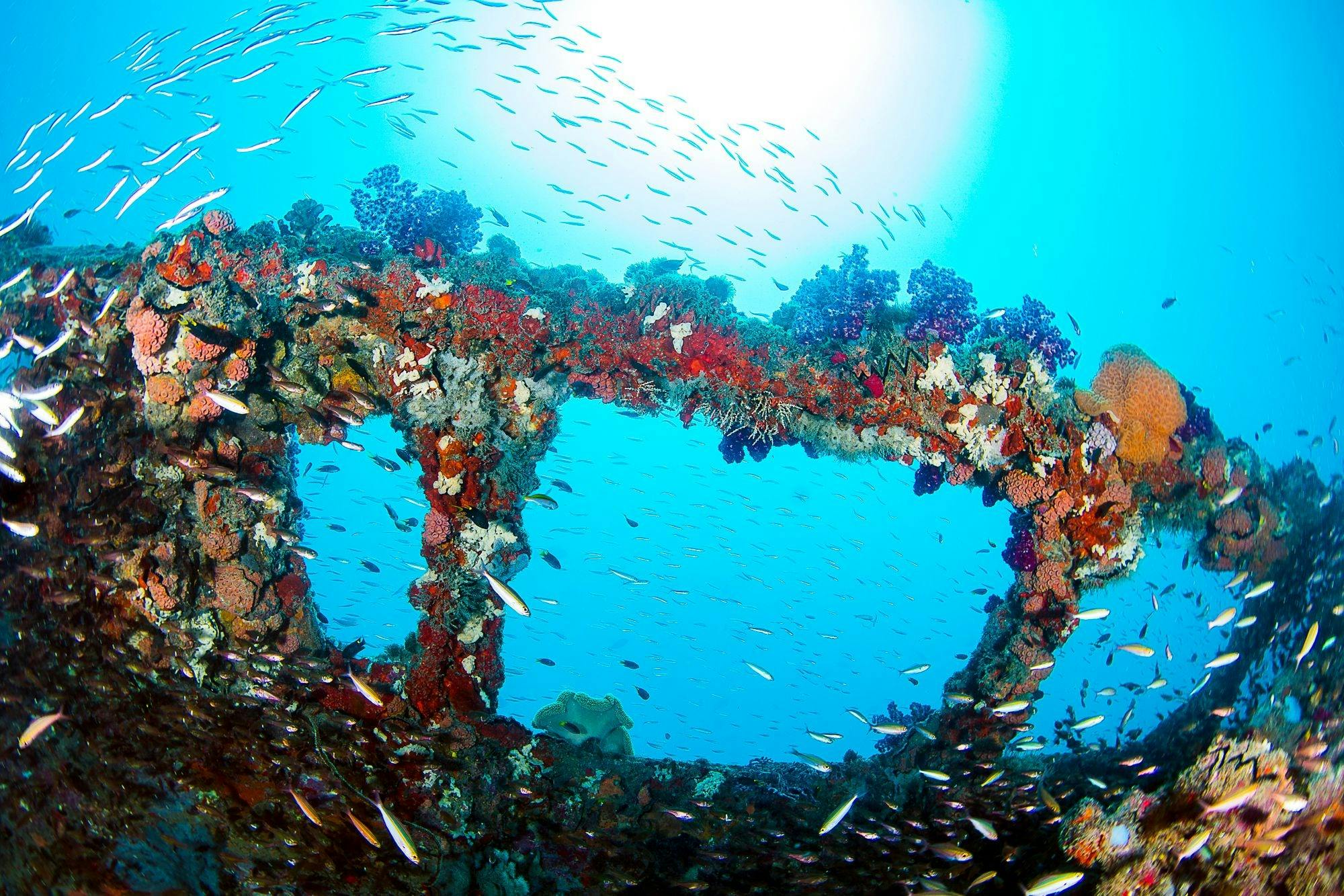 Incredible structure
