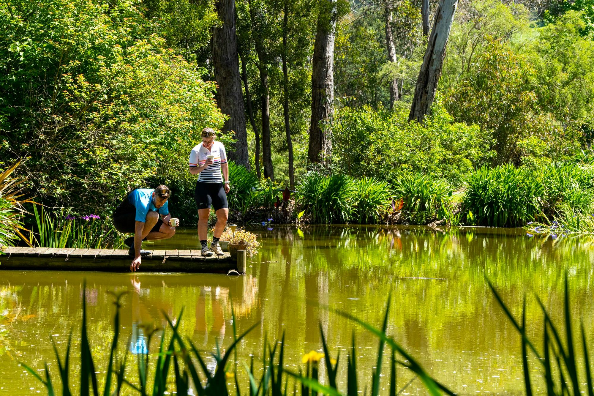The Witches Garden, Mitta Mitta