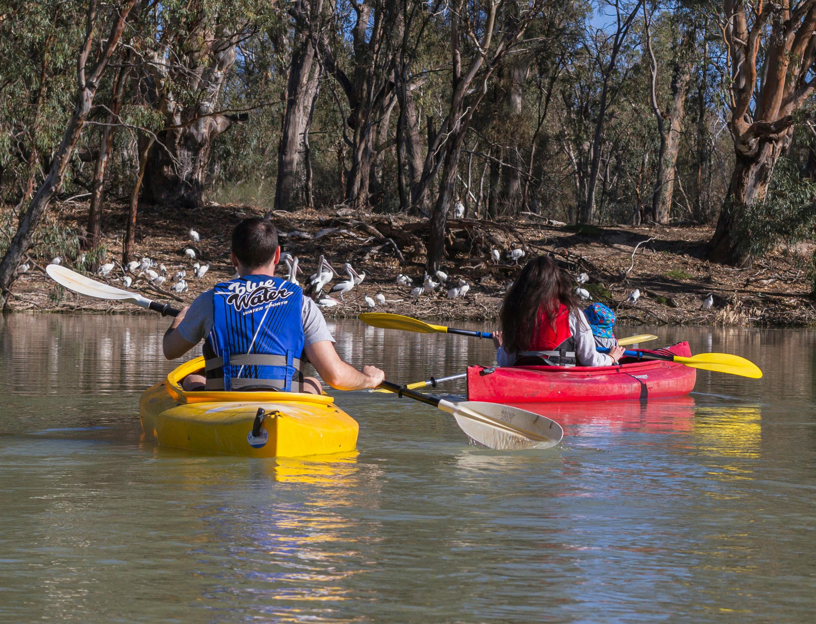 Canoe the Riverland - Kayak & Canoe Hire