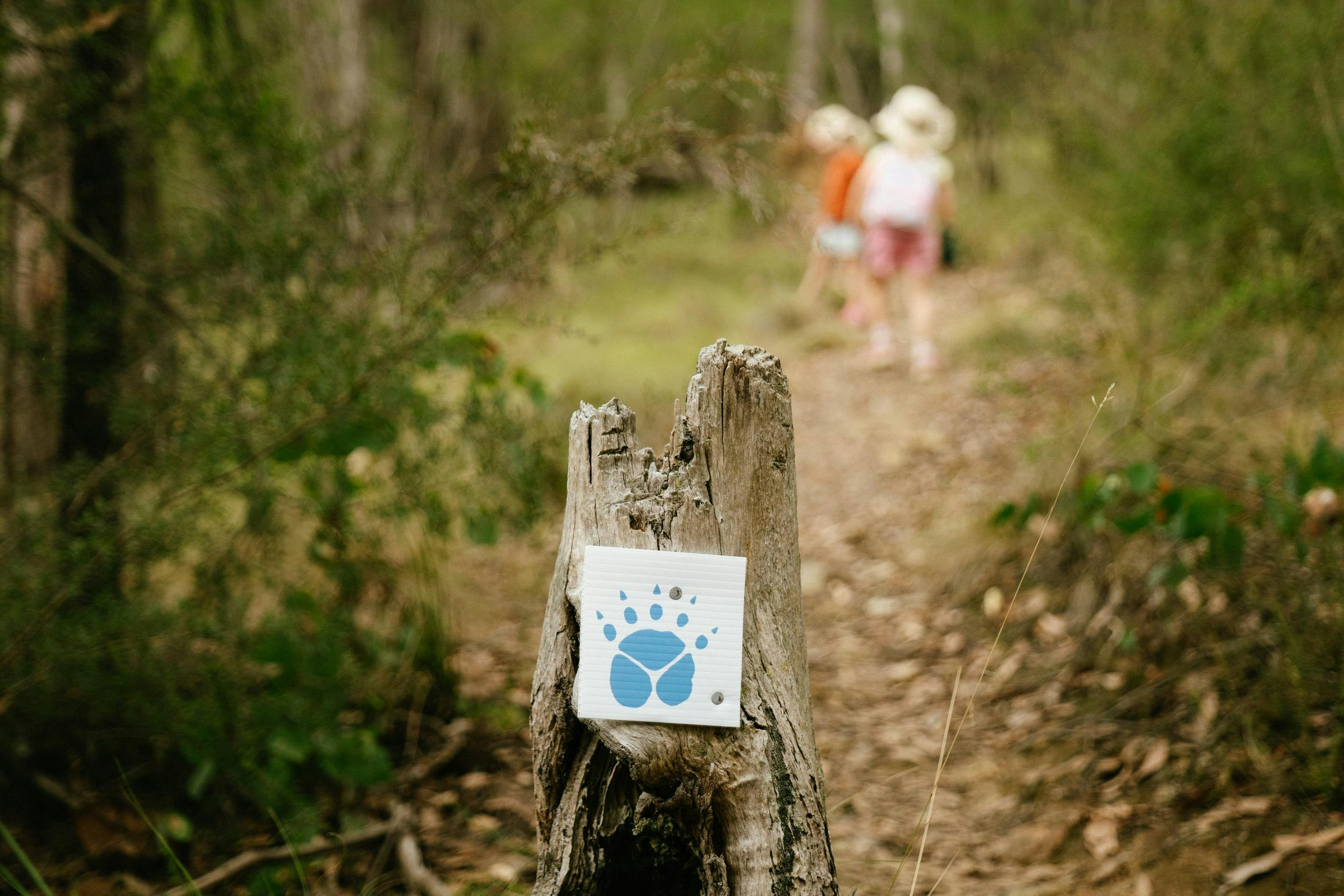 Pawprint along the walk