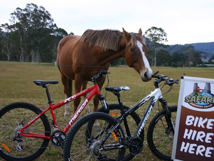 Hanah making sure the bikes are in order at Kangaroo Valley Safaris