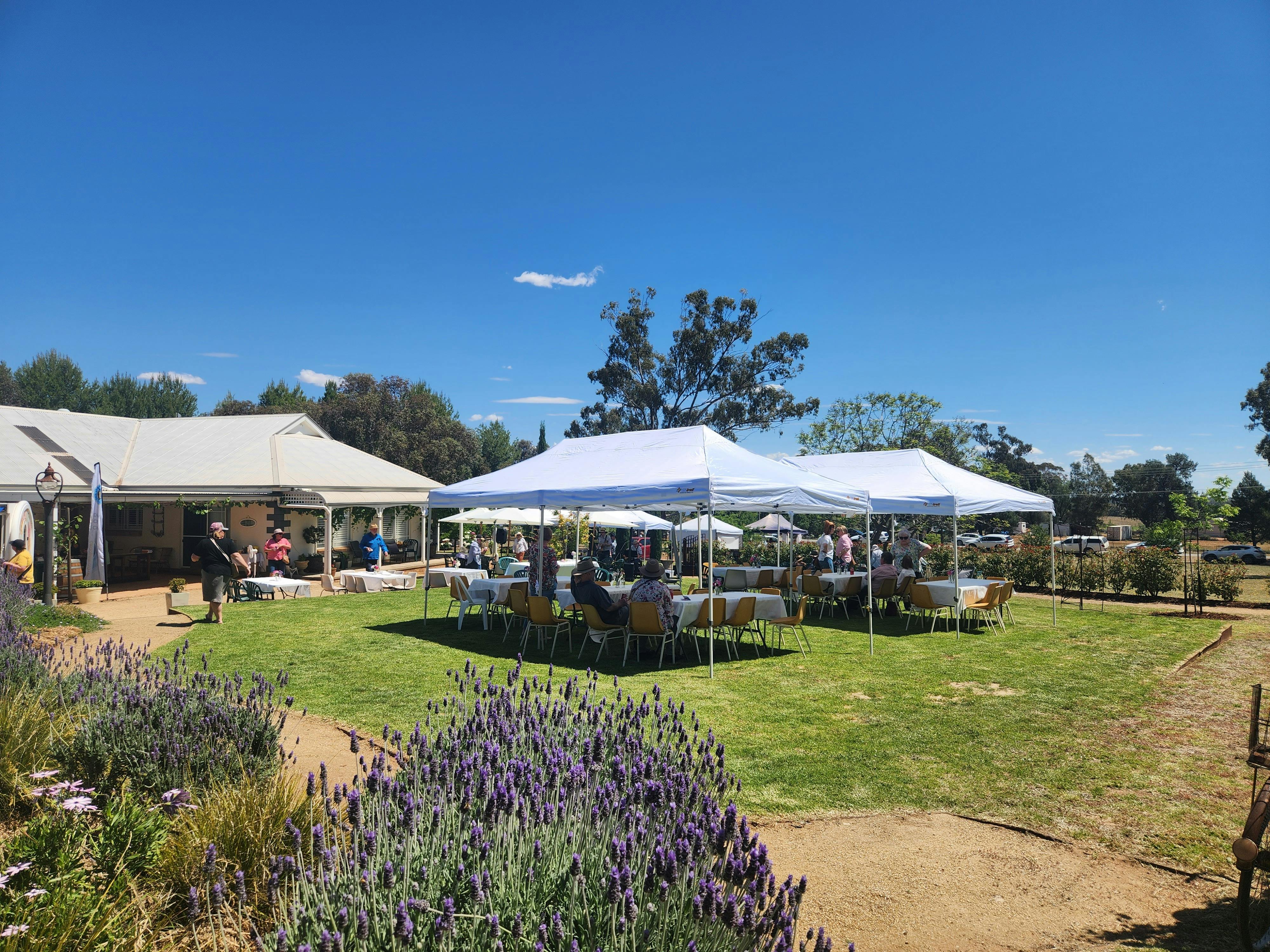 Town and Country Open Garden Day