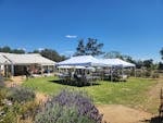 Town and Country Open Garden Day