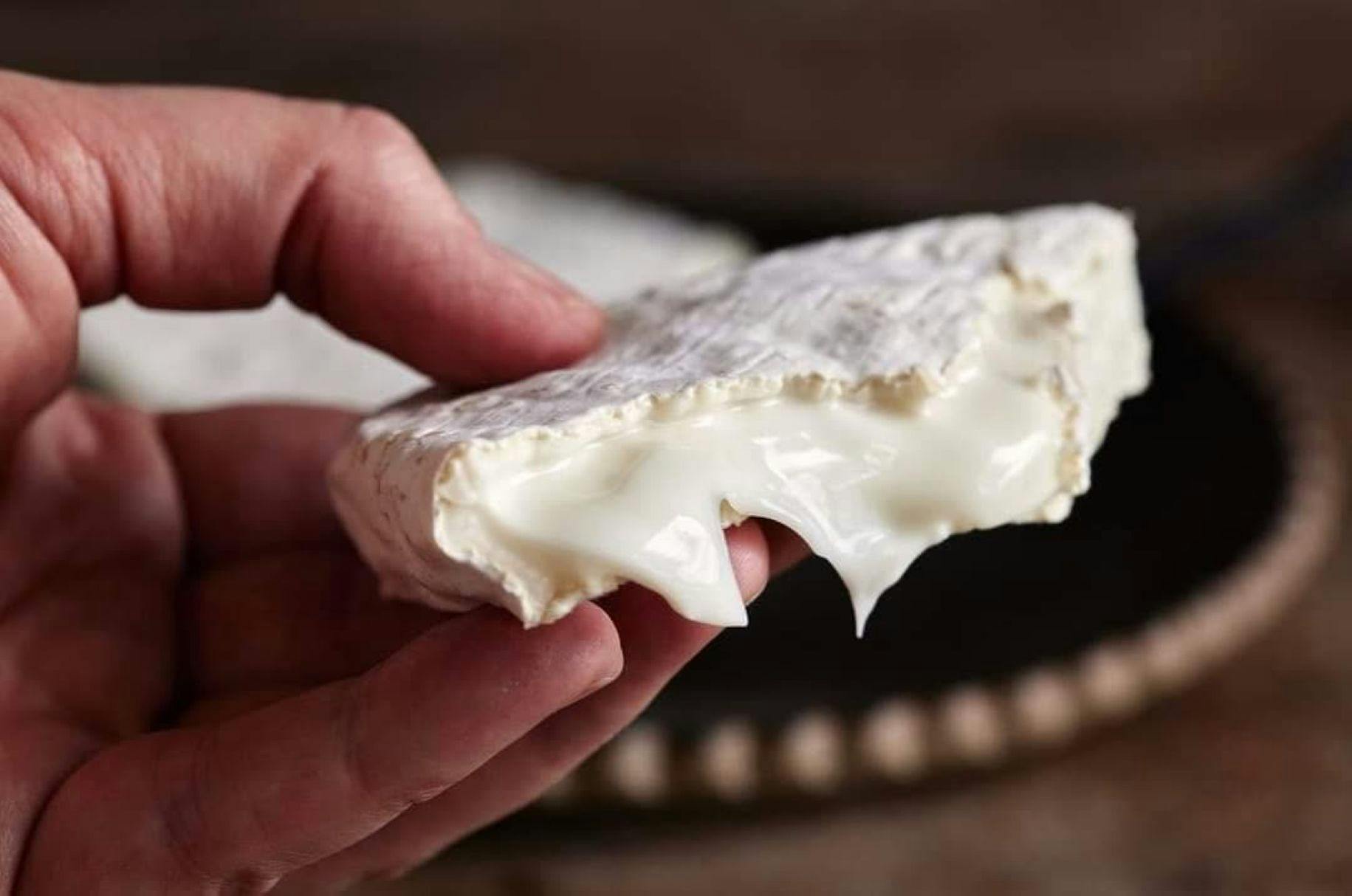 Coal Creek Market Cheese