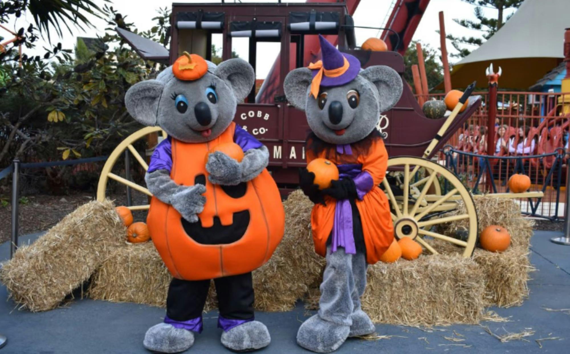 Happy Halloween