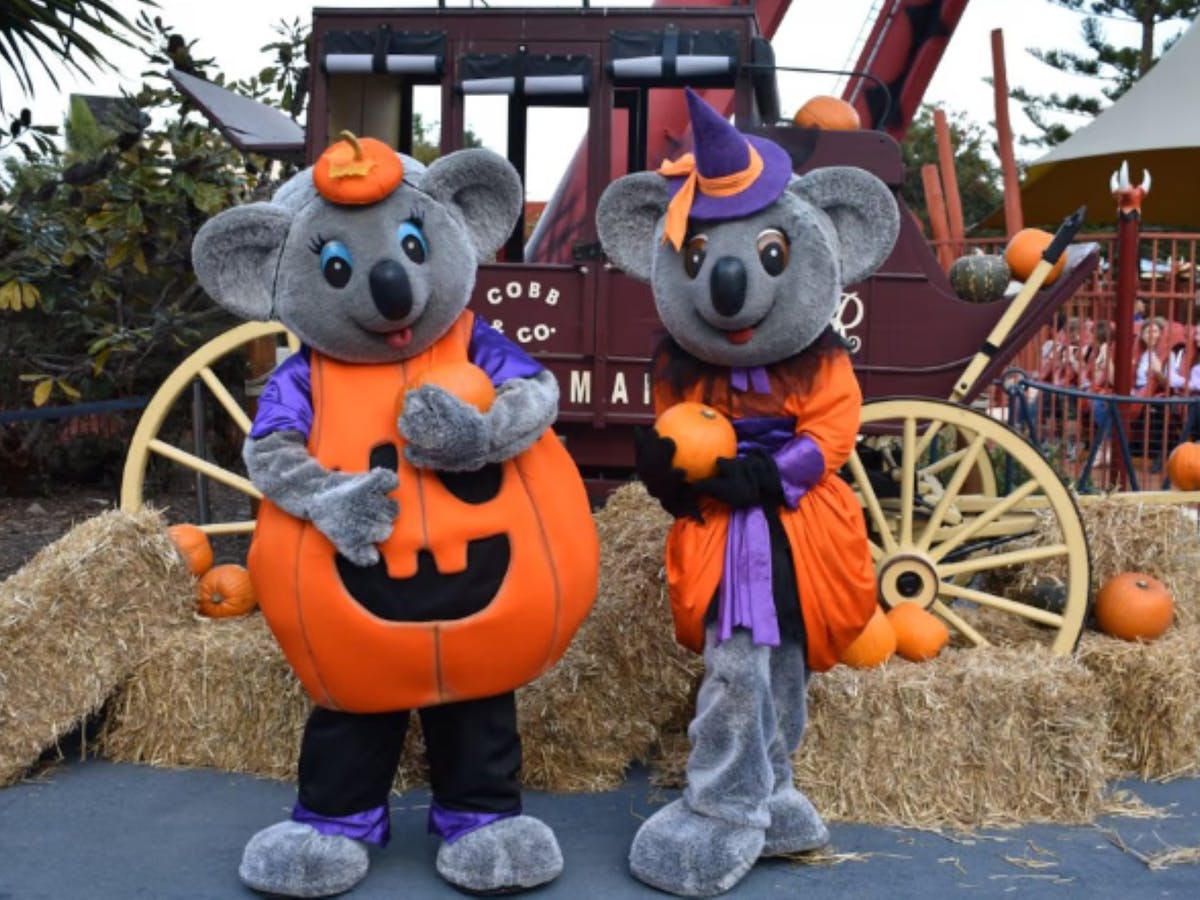 Happy Halloween