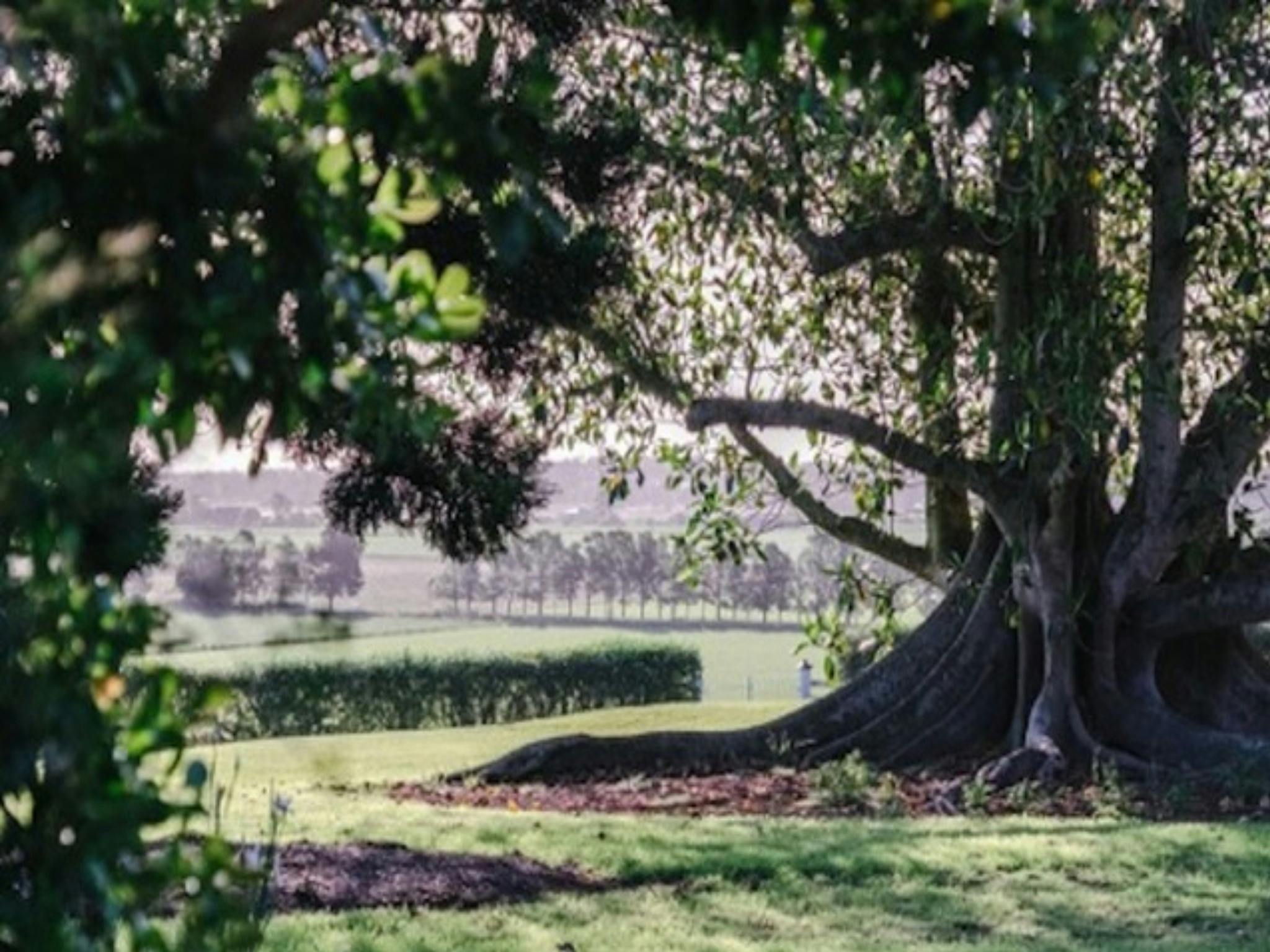 Wallalong House - Scenery