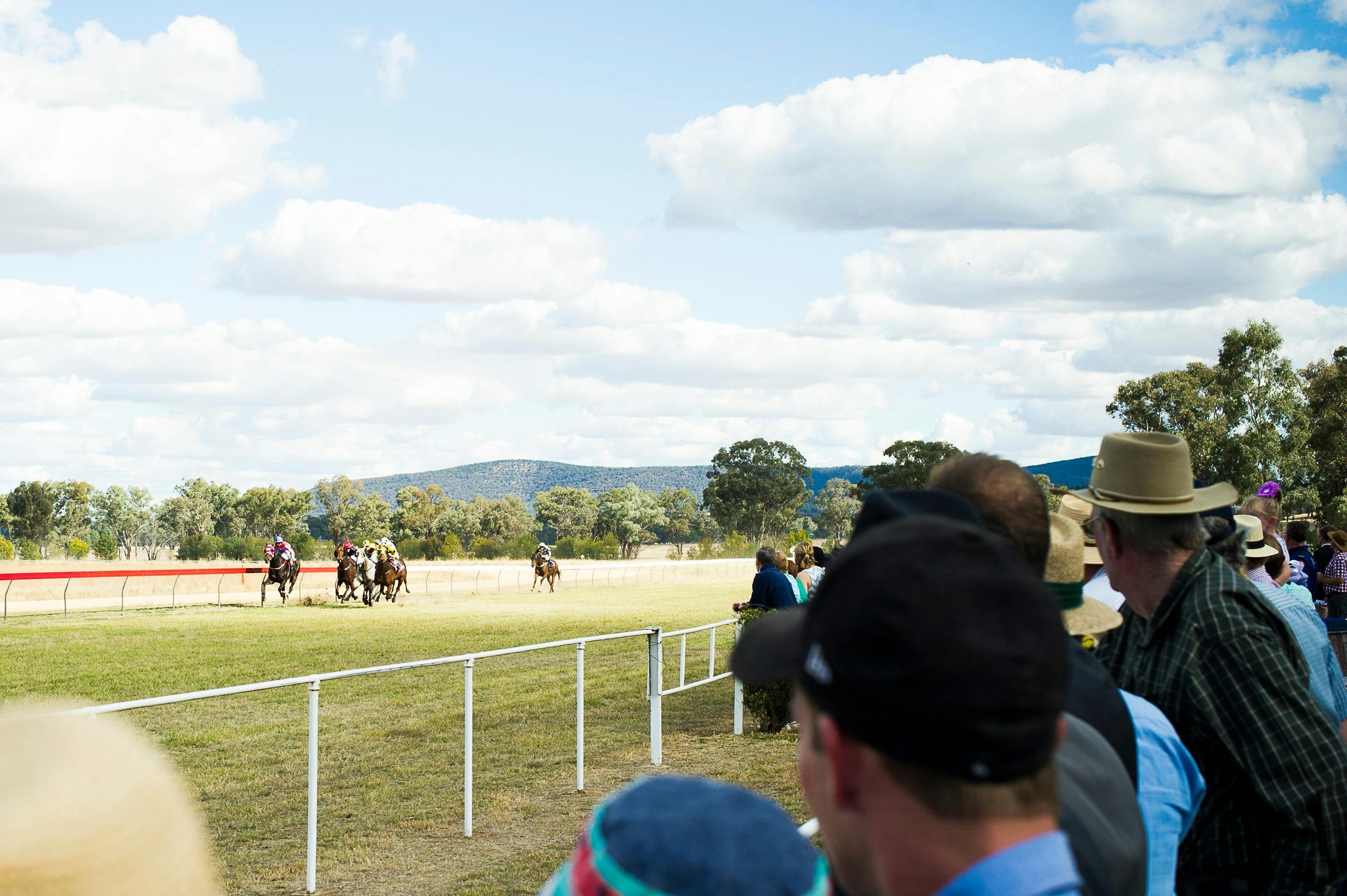 Picnic Races