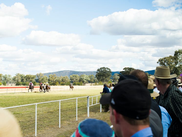 Picnic Races