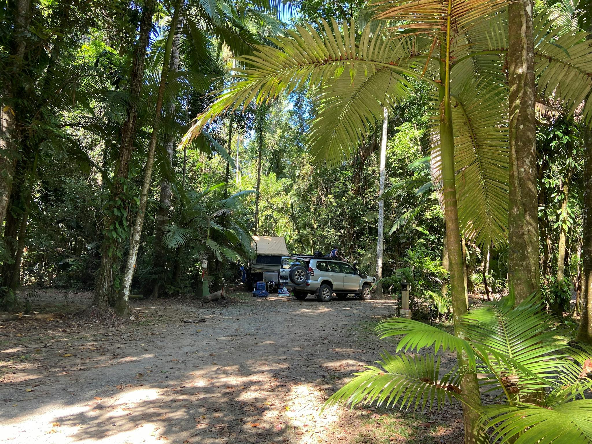 Daintree Siesta Campground with camper trailer Daintree Siesta Campground with camper trailer