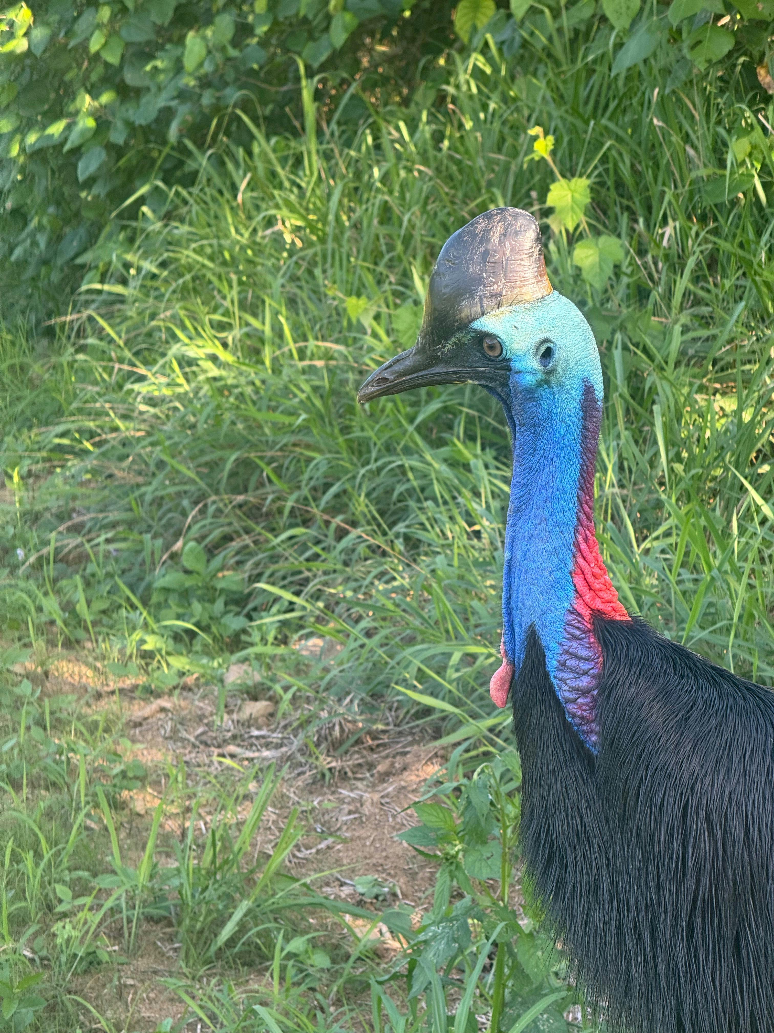 One of the locals