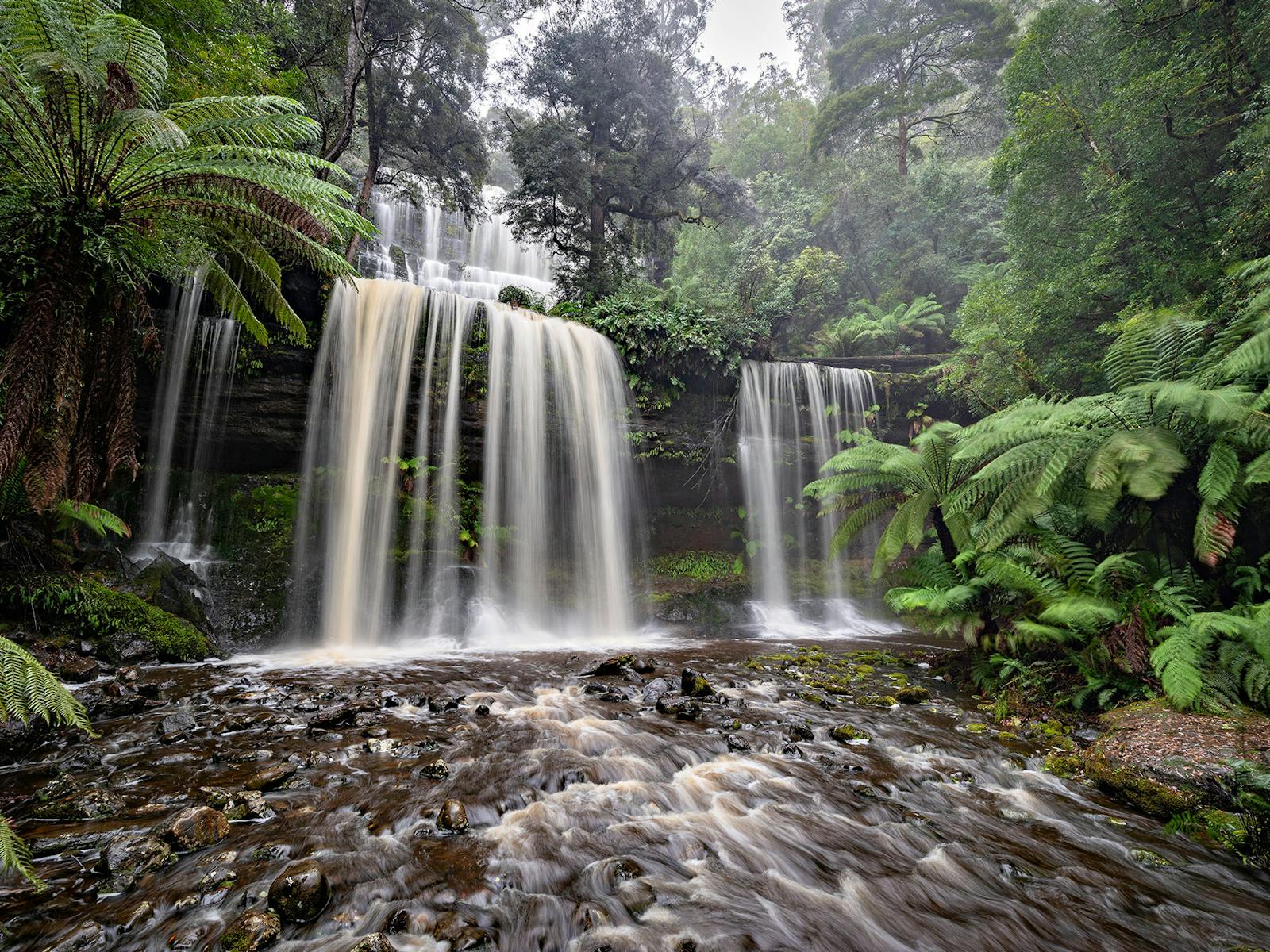 Russell Falls at Mt Field National Park