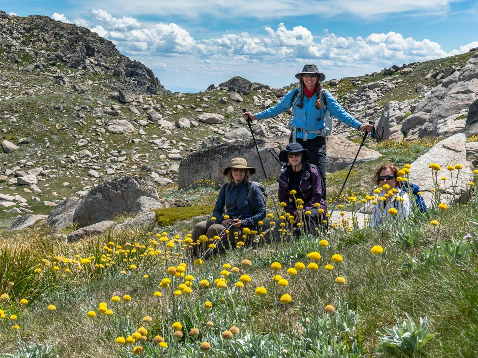 Hiking in the wildflowers of the Australian Alps