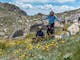 Hiking in the wildflowers of the Australian Alps