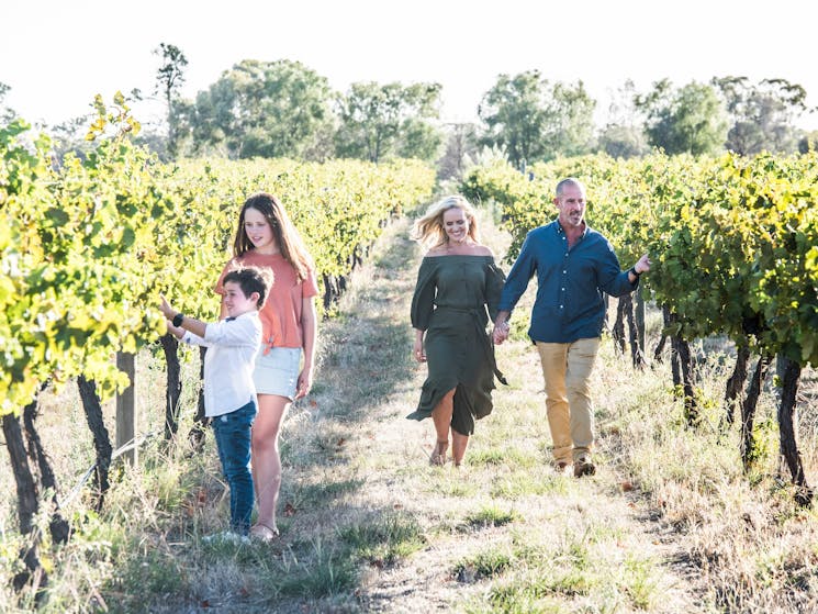 Family strolling through the vines at Restdown Wines near Caldwell