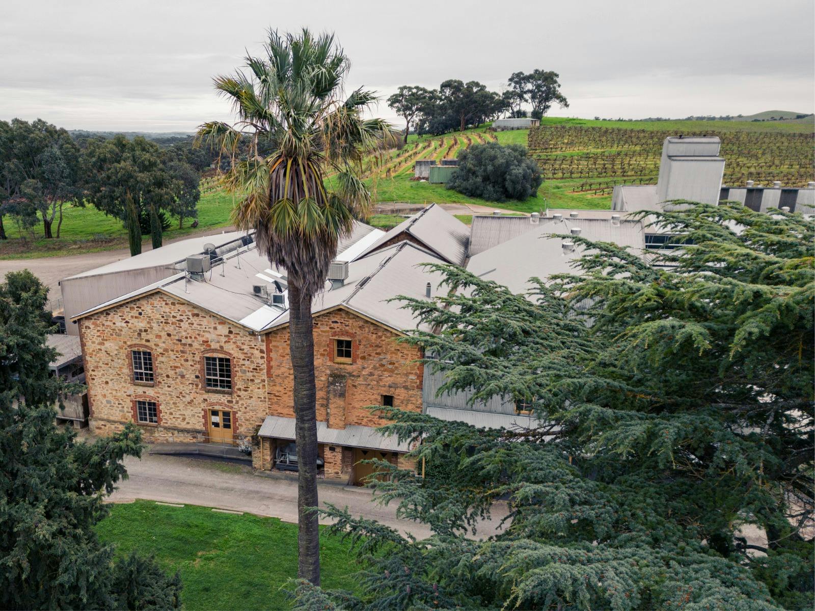 Cellar Door