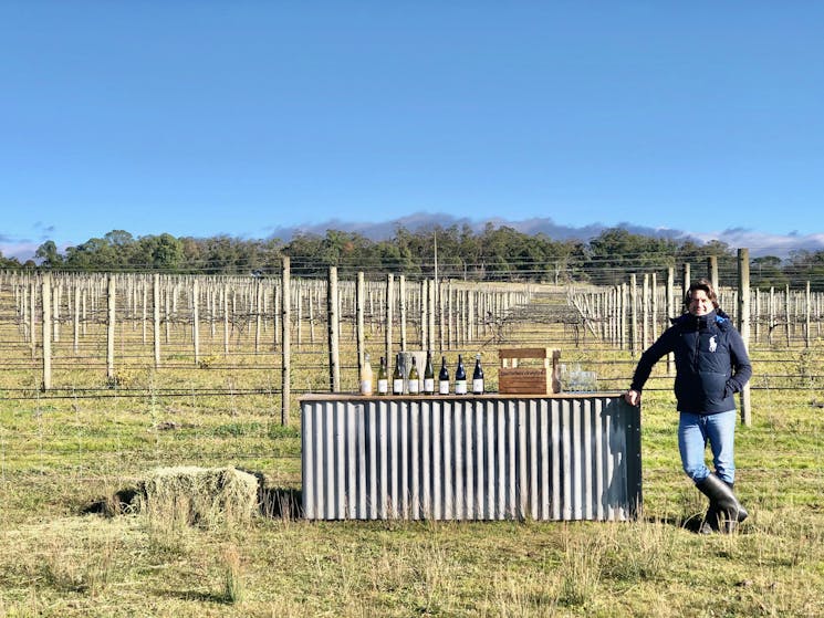 Winter vine tasting