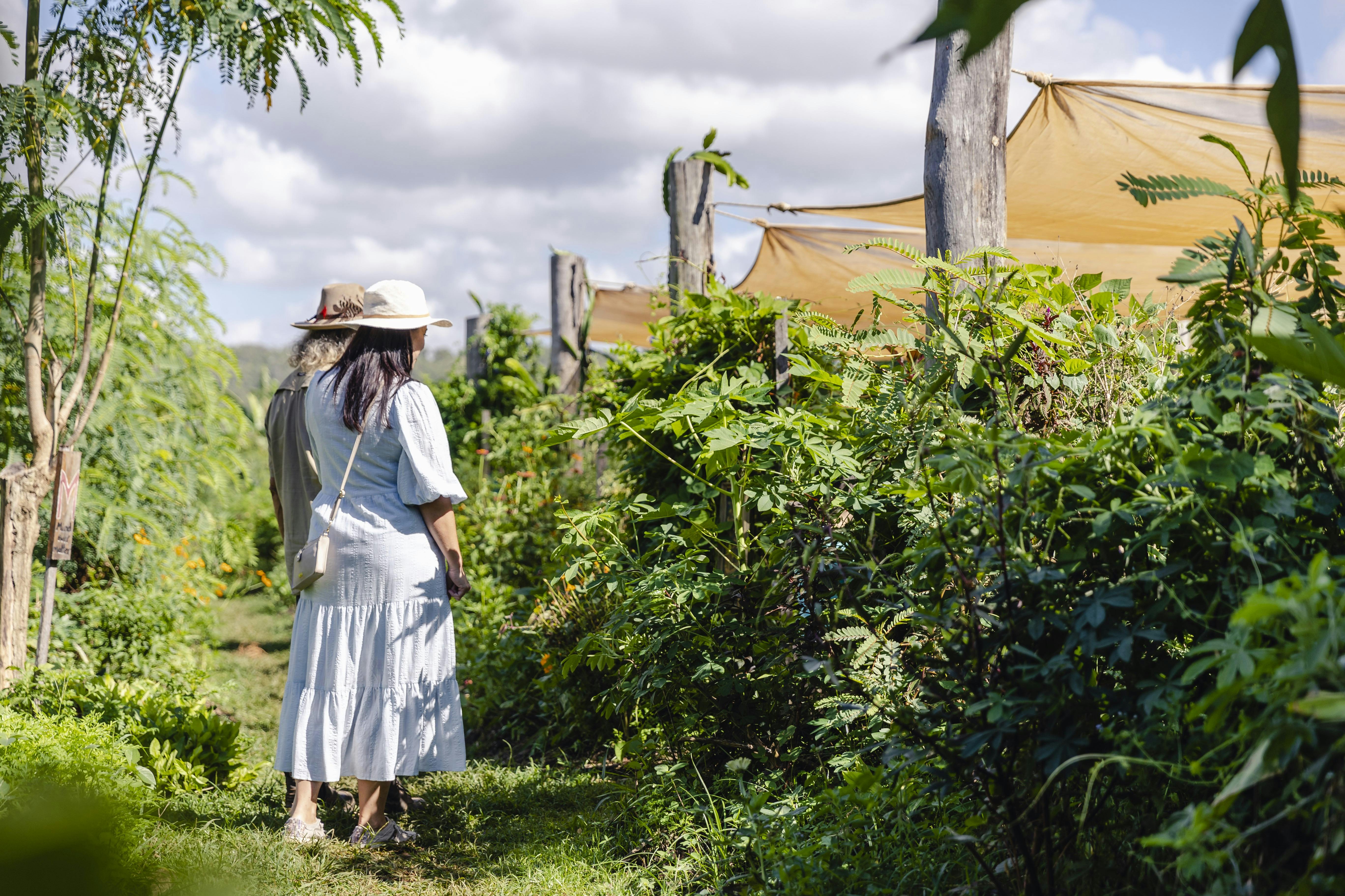 Exploring the market garden at High Valley Dawn Permaculture Farm, Capricorn Coast, Queensland