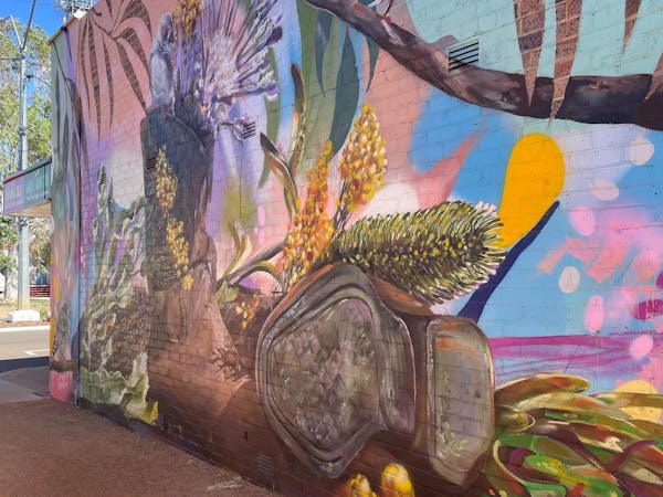 Laneway Art Mural