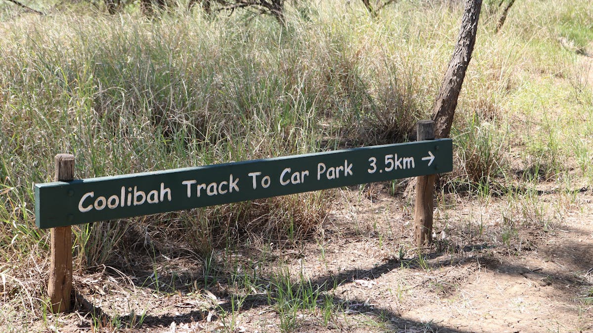Walking Track signage Walking Track signage