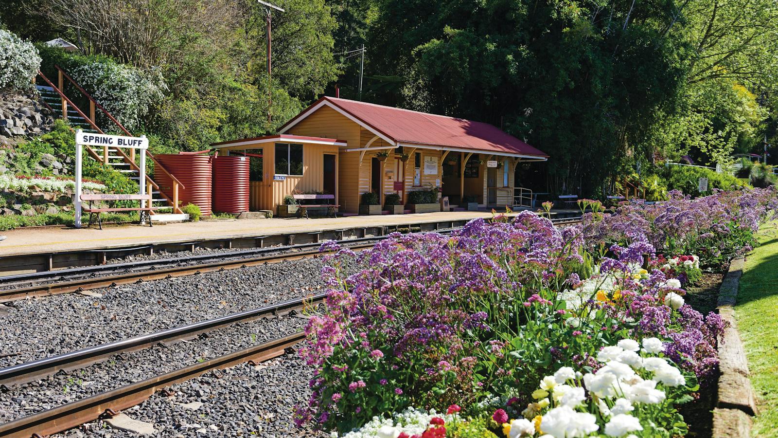 Spring Bluff, Toowoomba
