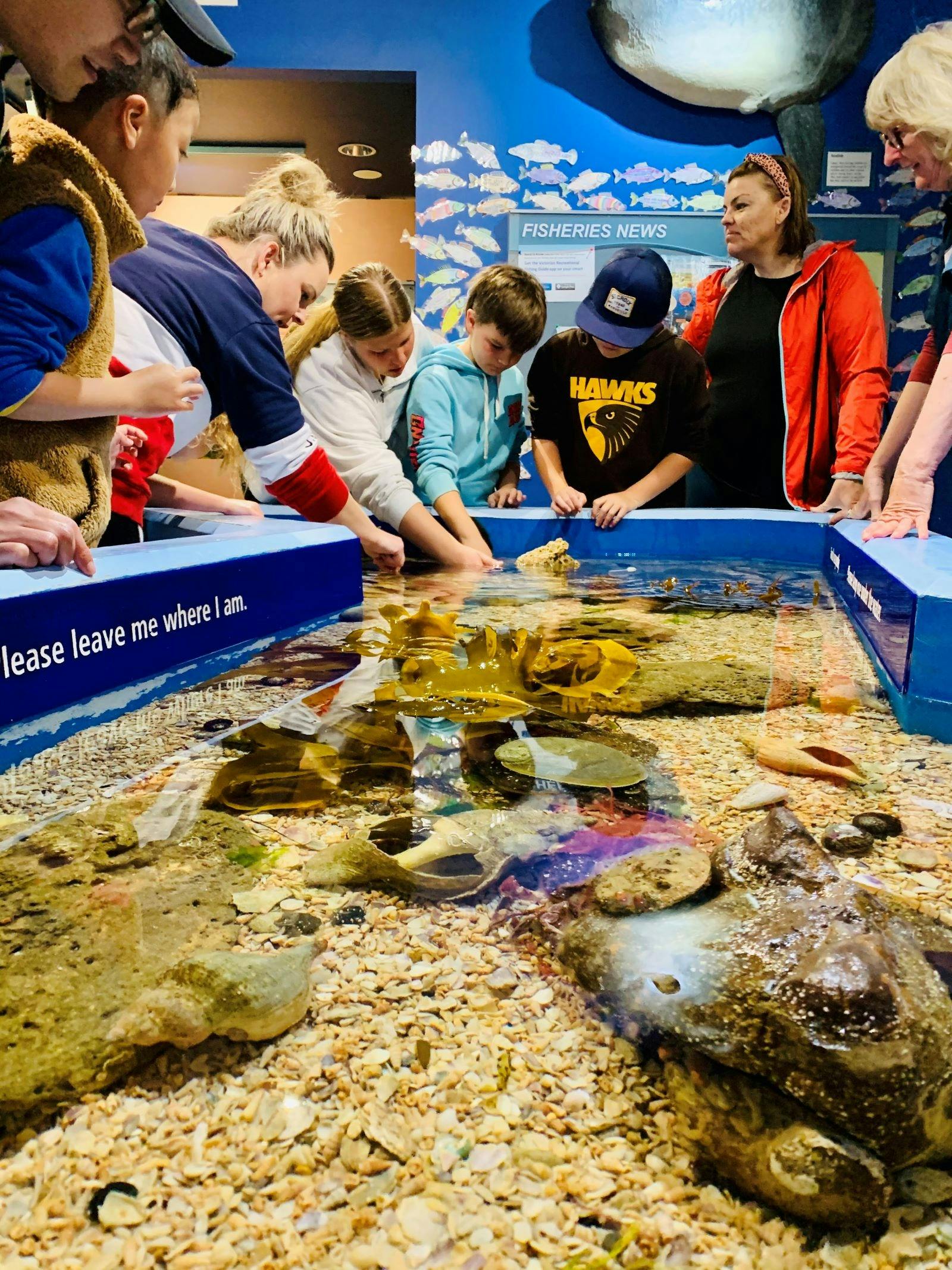 Marine and Freshwater Discovery Centre Summer Holiday Program
