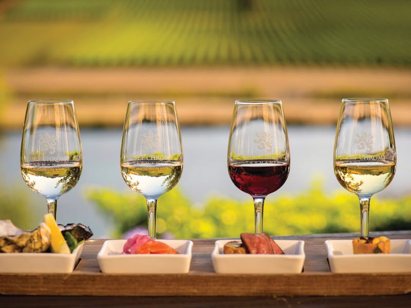 Tamar Valley wineries