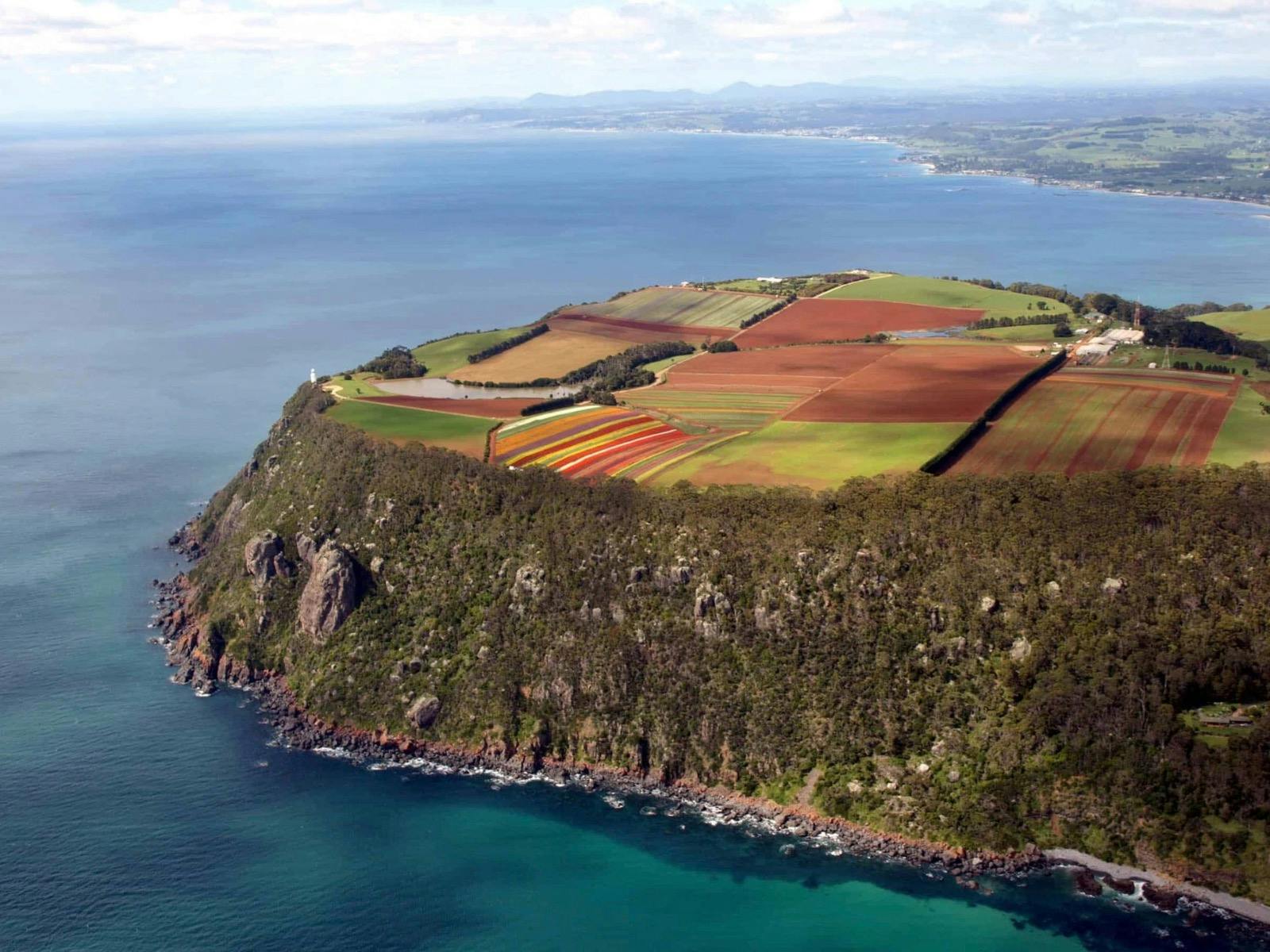 Table Cape Lighthouse