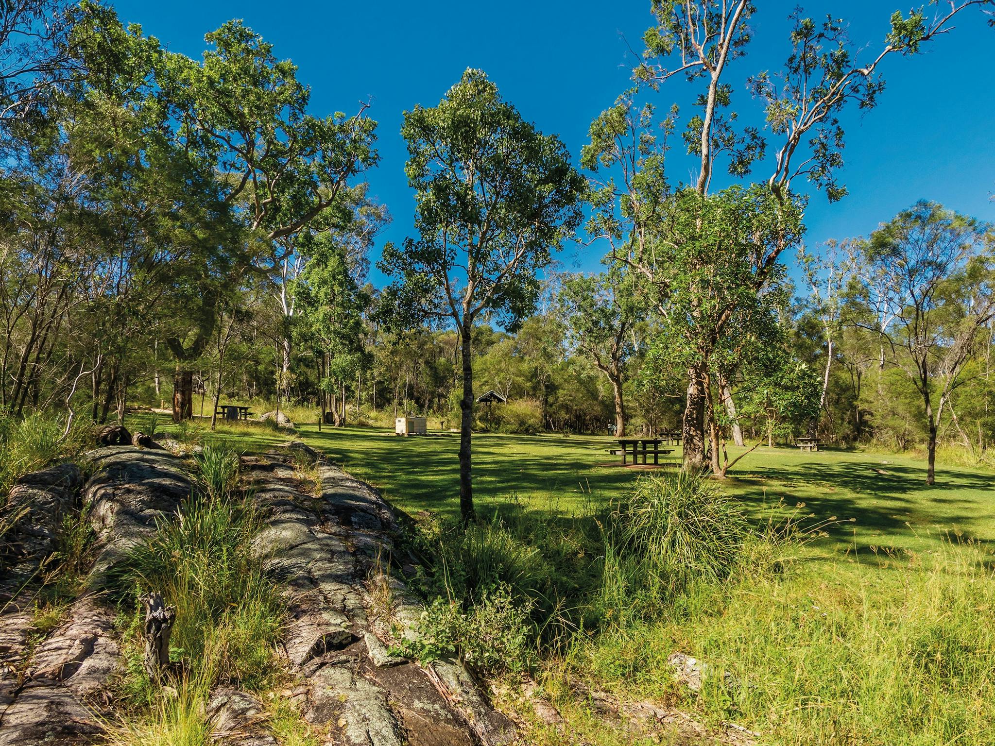 Picnic tables in open grassed area, Crows Nest National Park