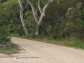 Riverview walking track