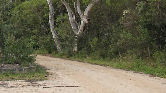Riverview walking track