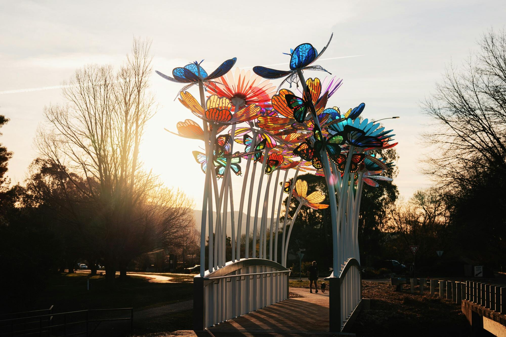 A white bridge at sunset with tall, colourful flowers along either side