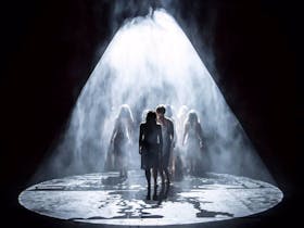 Several men and women standing under the spotlight