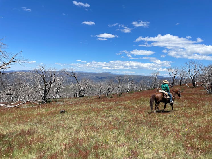 Man riding horse aross mountain looking at endless views