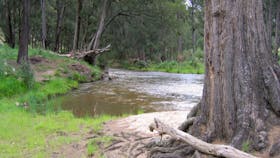 Bangadilly National Park