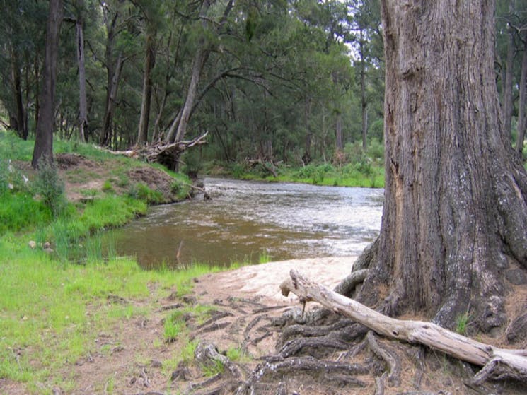 Bangadilly National Park