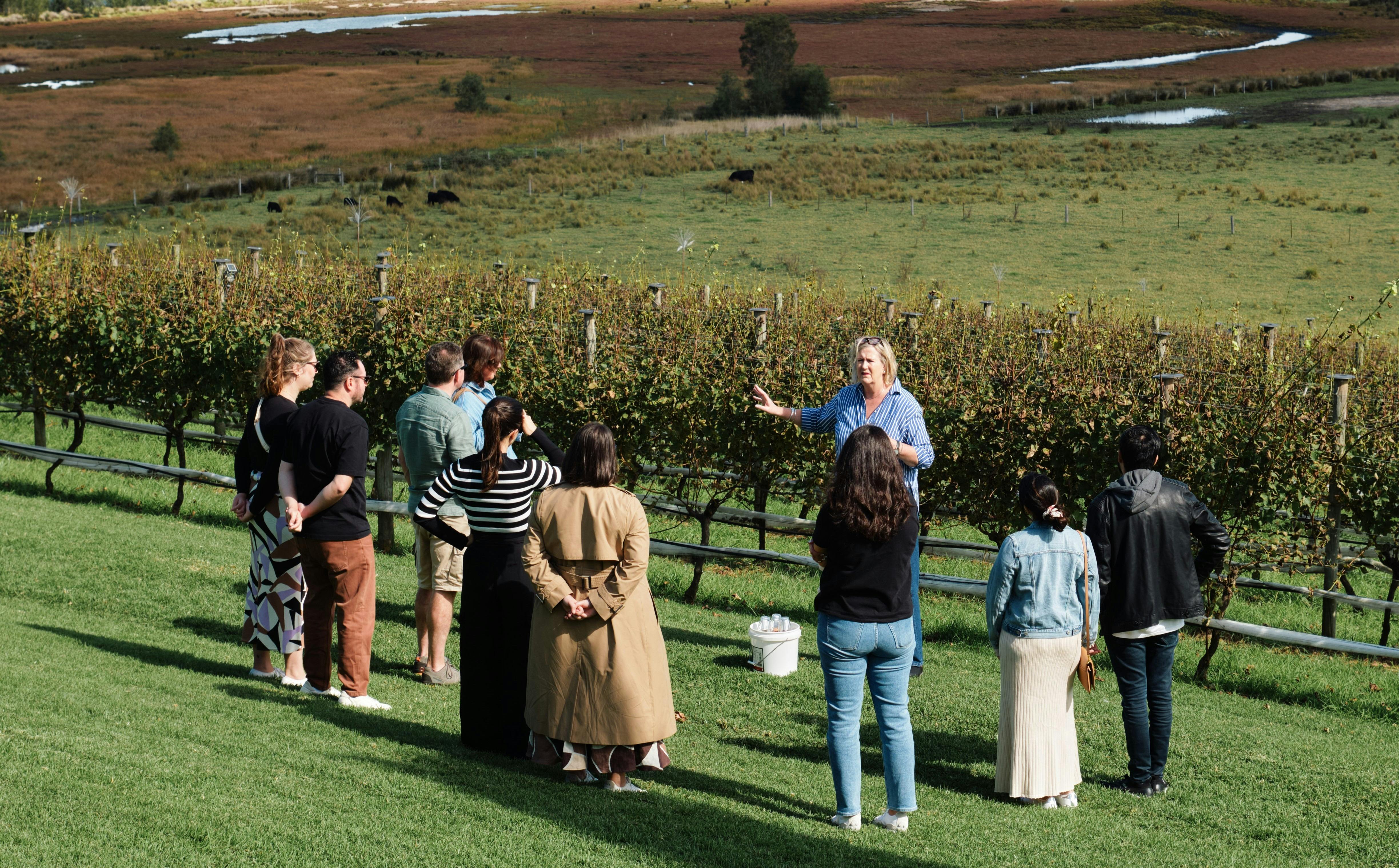 Winery and Bewery Tour