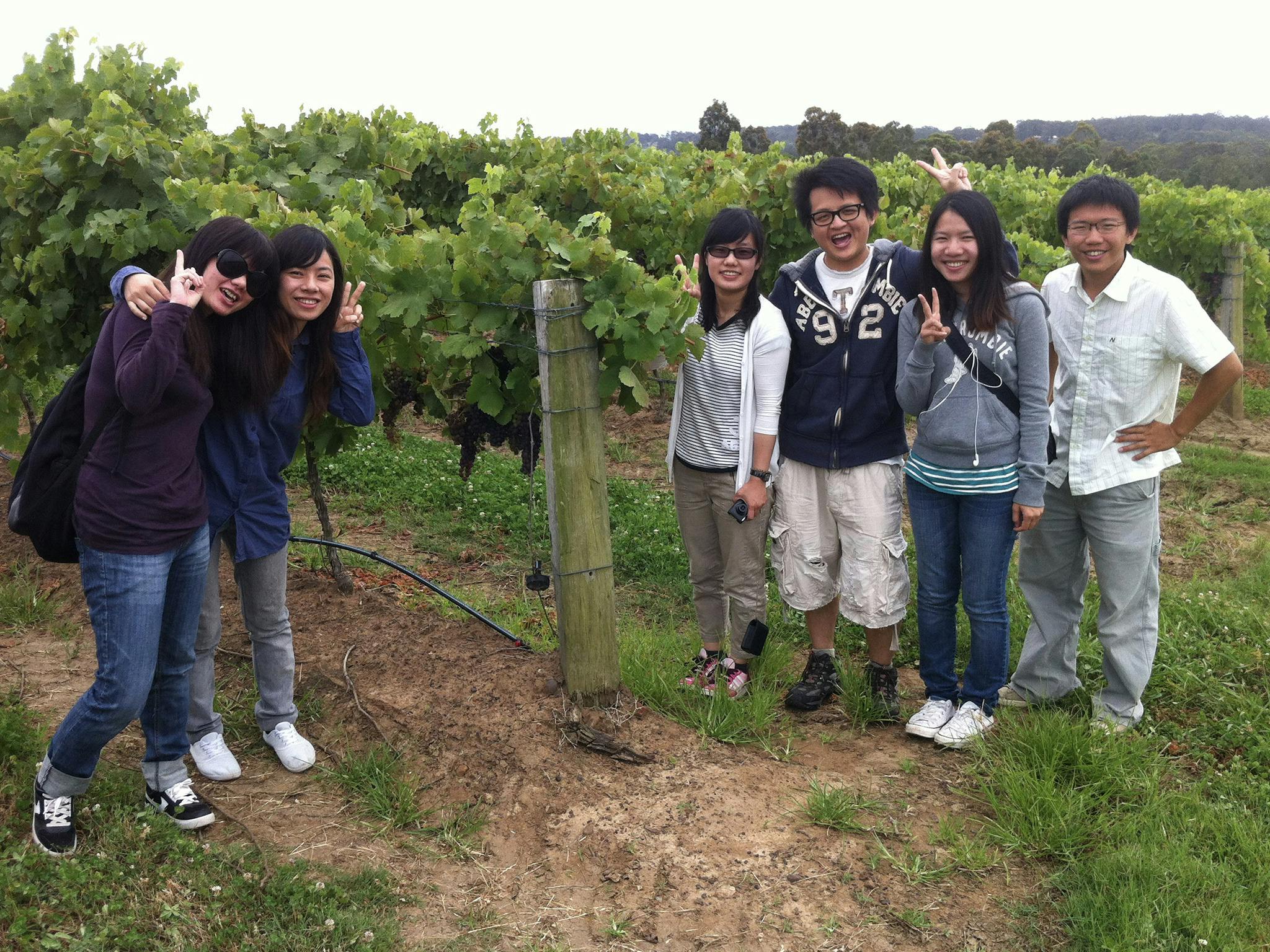 Wander the gorgeous green vines at one of the charming boutique wineries in the Hunter Valley
