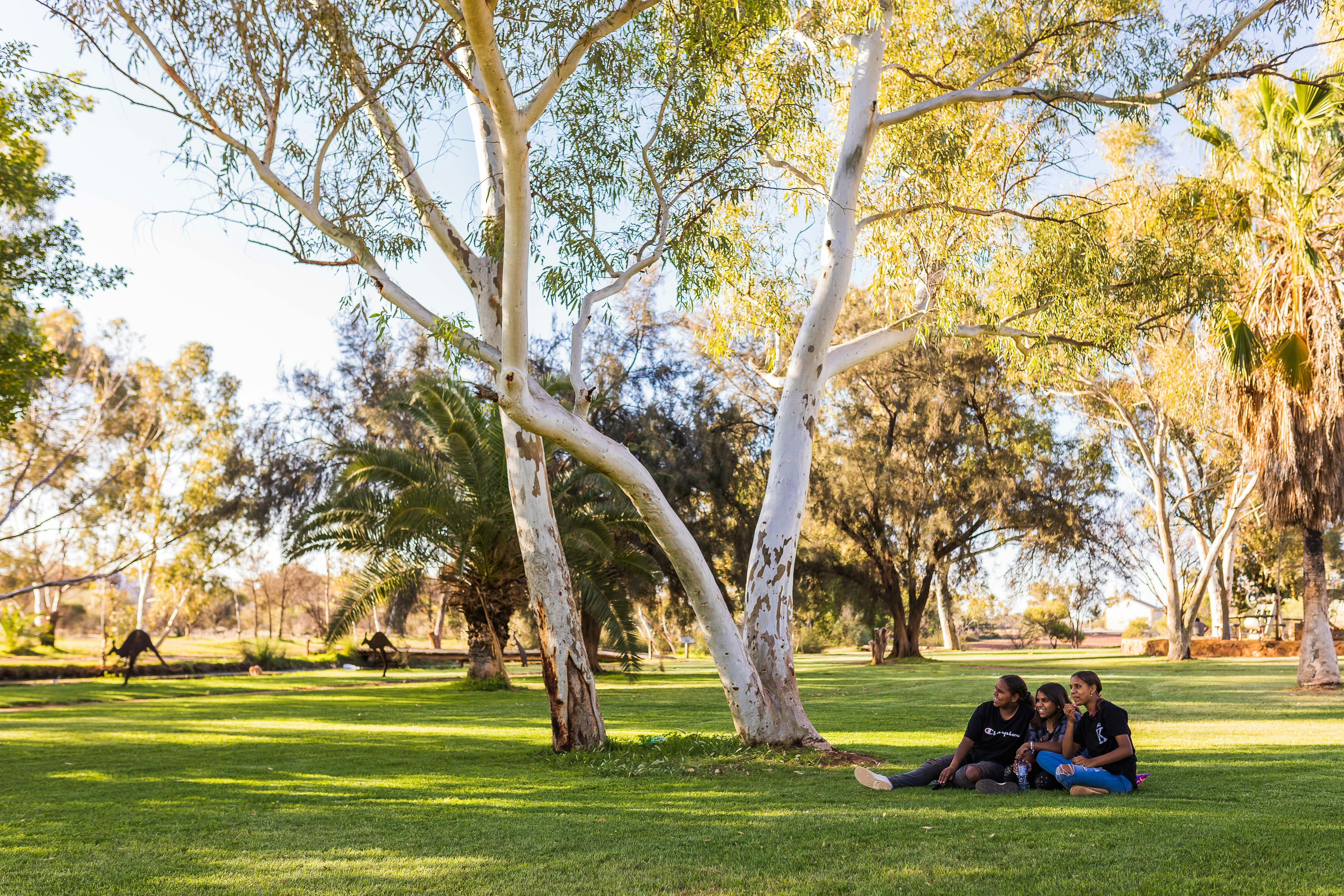 Meekatharra image