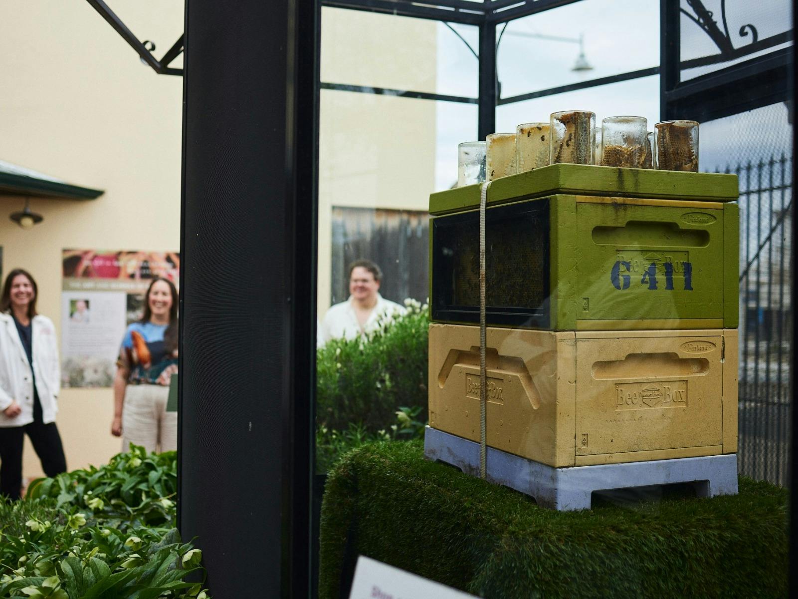 Beechworth Honey Experiences