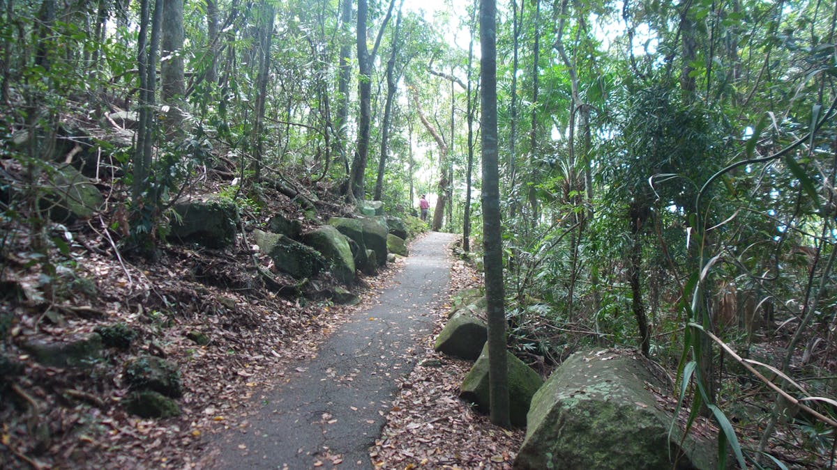 sealed path on Rainforest Circuit, Burleigh Head