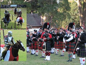Berry Celtic Festival - Jousters & Bands